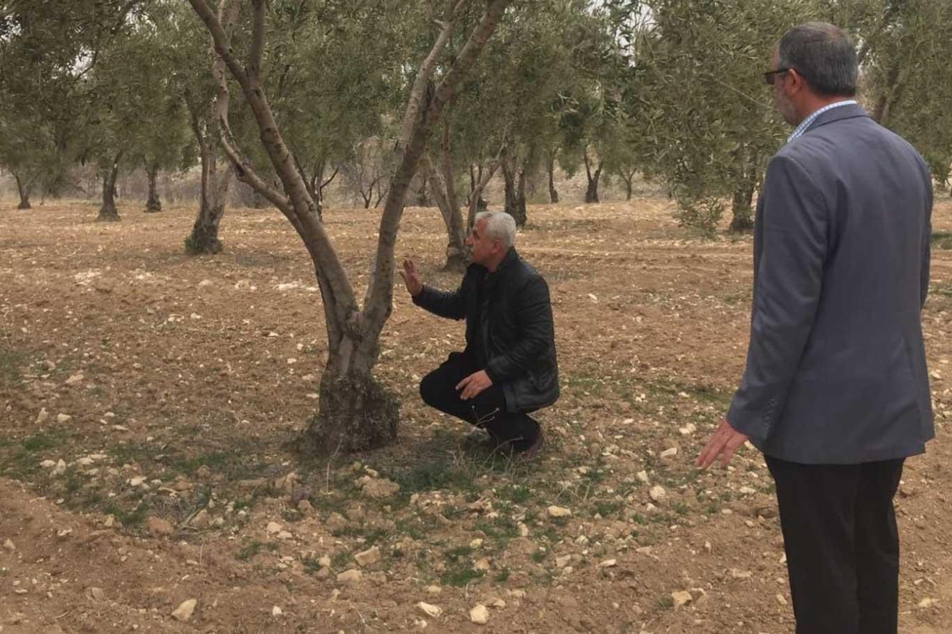 Uzmanlar meyve ağaçlarının hastalıklara karşı ilaçlanması konusunda uyardı Uzmanlar meyve ağaçlarının hastalıklara karşı ilaçlanması konusunda uyardı